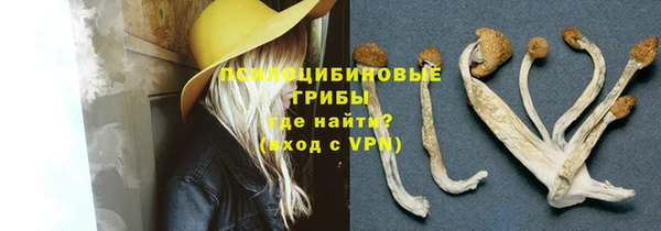 гидропоника Краснослободск
