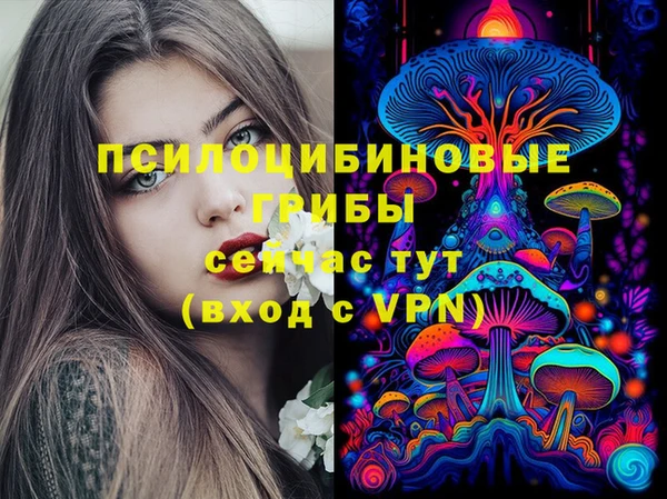 гидропоника Краснослободск