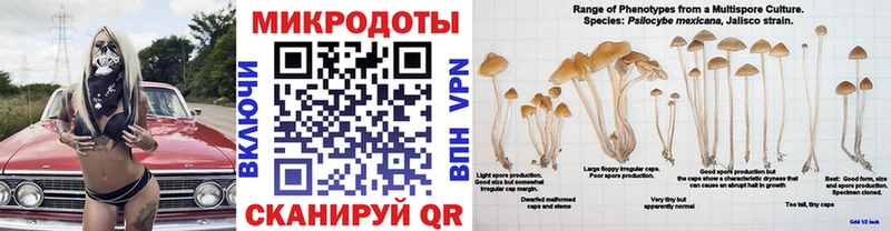 Псилоцибиновые грибы Psilocybe  Туран 